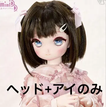 보크스 MDD 코메 헤드 아이 스탠다드 모델