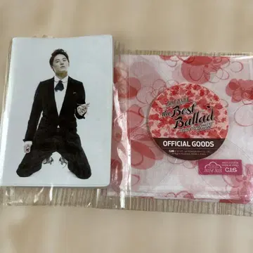 공식 발라드 콘서트 클리어 파일  우미짱