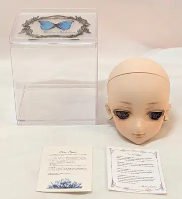 Atrium Hoshino DD 커스텀 헤드 노멀 스킨