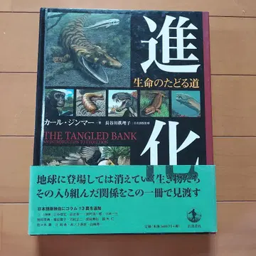 진화