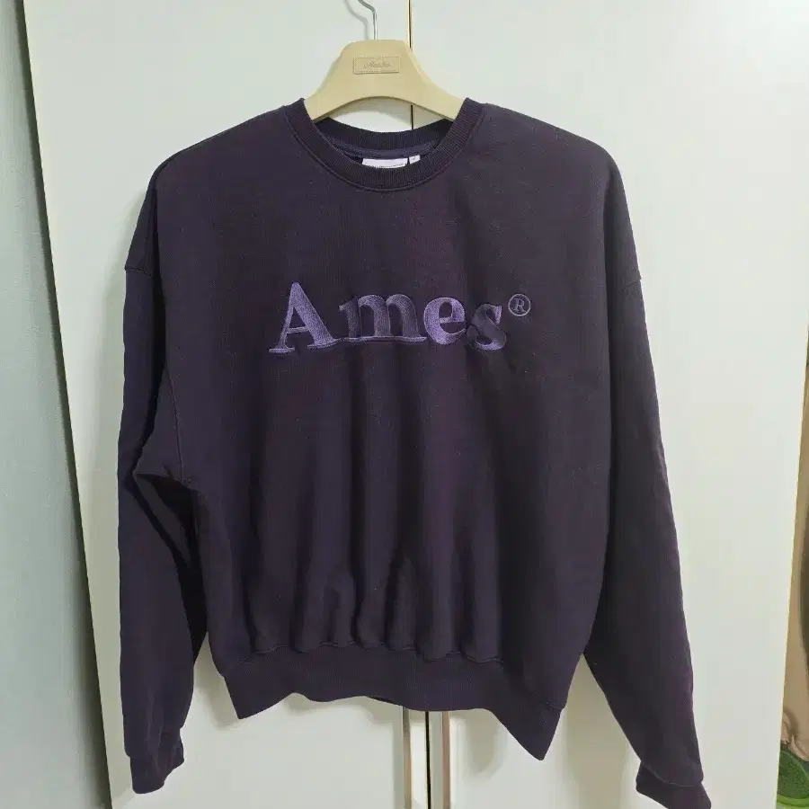 AMES Worldwide Basic Logo Sweatshirt F (55) on Bunjang Global