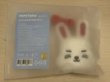 SEVENTEEN 세부치 MINITEEN 페이스 키링 에스크
