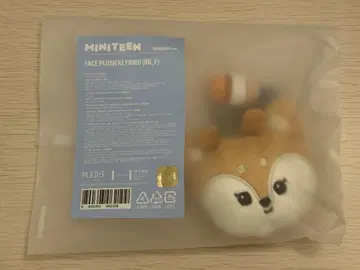 SEVENTEEN 세븐틴 MINITEEN 페이스 키링 조슈아