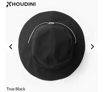 HOUDINI 고-ㄴ 피싱 햇 ML