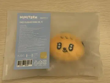 SEVENTEEN 세븐틴 MINITEEN 페이스 키링 승관