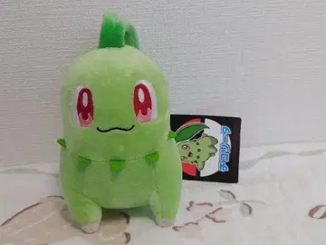 치코리타 택 포함