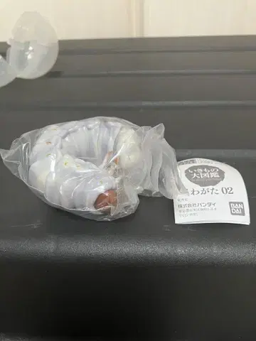 생물대도감 장수풍뎅이 02