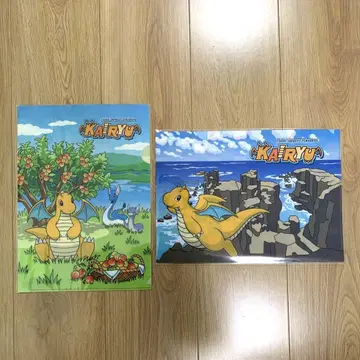 포켓몬 로컬 액츠 카이류 클리어 파일 2종 컴프 후쿠이현 한정판