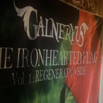 GALNERYUS THE IRONHEARTED FLAG 타월