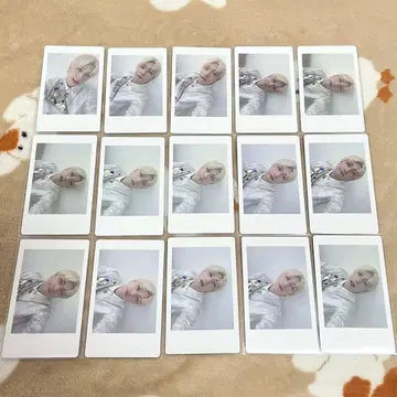 팬더 드래곤 파라곤 하피카 요타