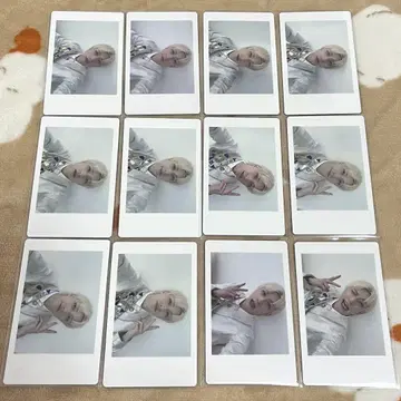 팬더 드래곤 파라곤 하피카 요우타