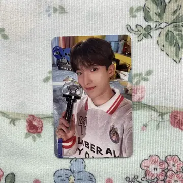 SEVENTEEN 2024 도겸 CARATLAND 캐럿랜드 트레이딩 카드