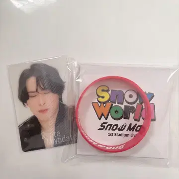 SnowMan 미야타테 료타 살짝 보기 카드 라바반 세트