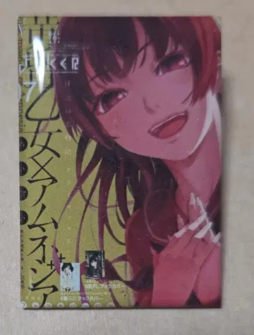 황혼 소녀 x 암네시아 메모리얼 핀즈 332