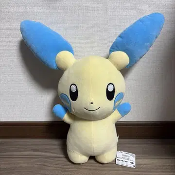 포켓몬스터 메차모후구토 봉제 인형 마이난