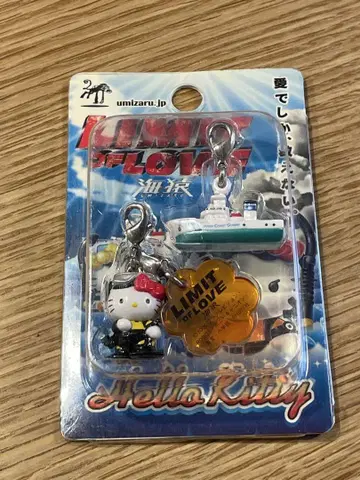 해원 키티