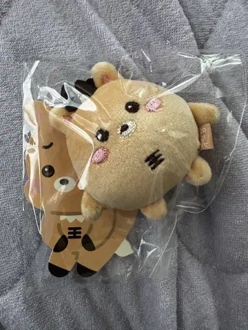 RIIZE 성찬 우라쿠바무 미니 인형 키링