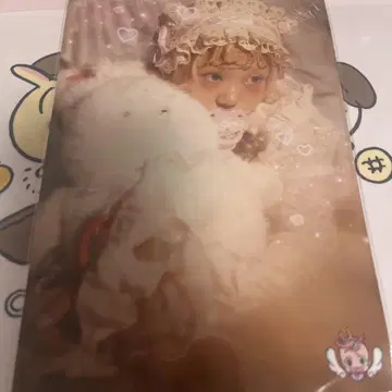 노노치 빅 브로마이드 베비타피