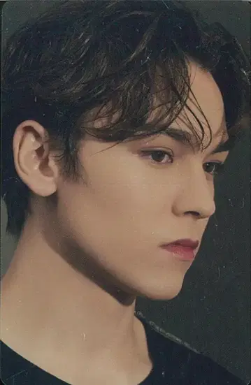 세븐틴 D'/ICON VERNON D'FESTA Editon 1/4