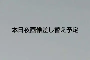 5등분의 신부 하와이 여행 복권 포스터 이치카 니노 미쿠