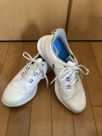 풋조이 골프화 FJ Fuel Laced 남성용
