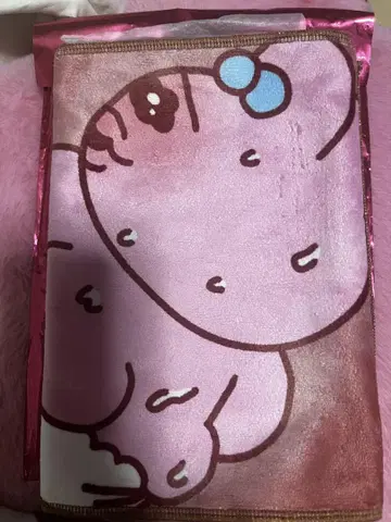 빤쮸토끼 사우나 타월