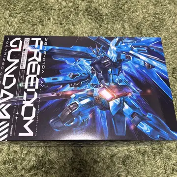 HG 1/144 프리덤 건담 [폴라라이즈드 클리어] 니시카와 타카노리
