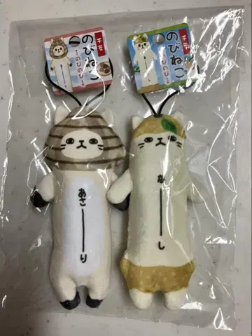 노비네코 2개 세트