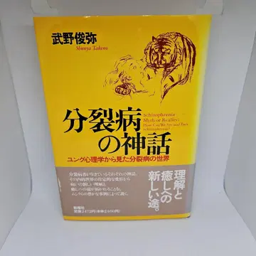 정신분열증의 신화: 융 심리학에서 본 정신분열증의 세계