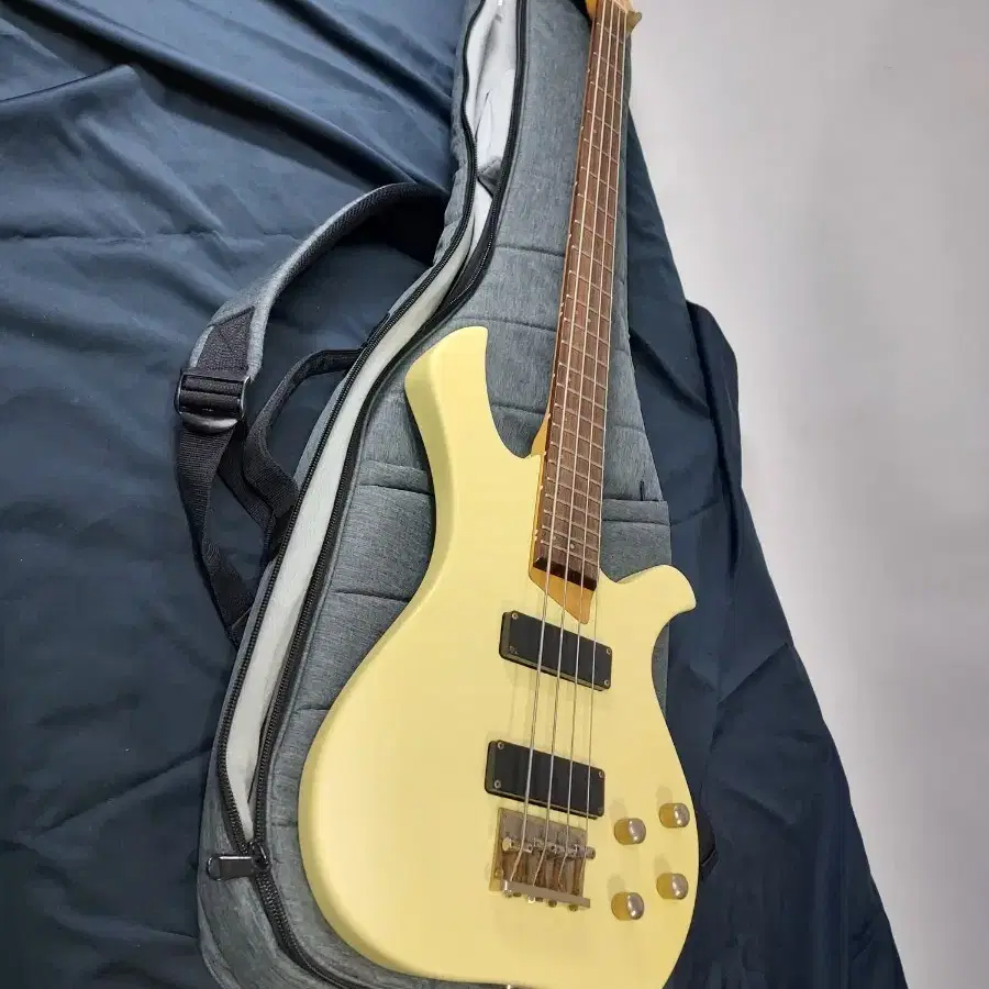 Esp GrassRoots Humbucker Bass Guitar on Bunjang Global Site.