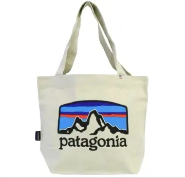 Patagonia 미니 토트백