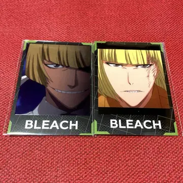 BLEACH 36 히라코 마코 인스턴트 사진풍 브로마이드 세트