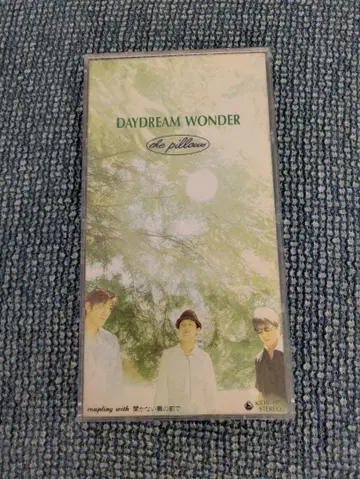 the pillows DAYDREAM WONDER 7cm 싱글