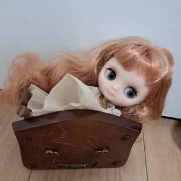 아이시 인형 미디 브라이스