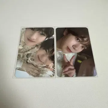 nct wish steady popup 료 사쿠야 케미 트레이딩 카드
