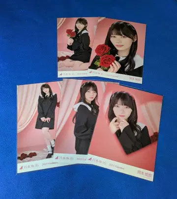 노기자카46 오카모토 히나 2025 발렌타인 5종 컴프