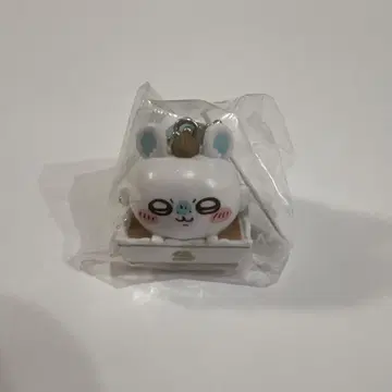 치이카와 쿠라스시 모몽가
