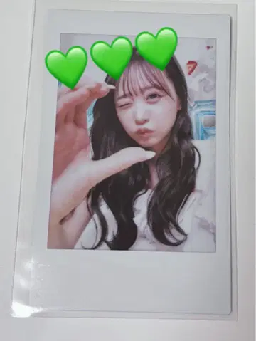 사쿠라이 유이 생일 특집 폴라로이드