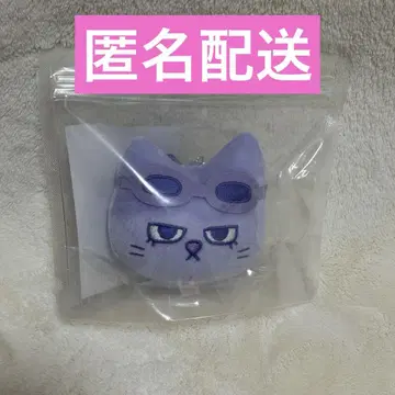 테산 펑크드 키링