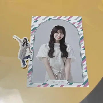 무카이 이토하 사쿠라자카 카페 세트