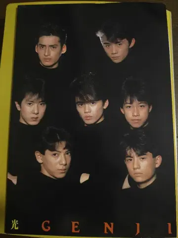 빛 GENJI 키리누키 9