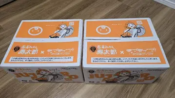 러브 라이브 선샤인 수타로 귤 상자 2개 세트