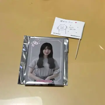 야마시타 시즈키 사쿠라자카 카페 세트