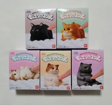 새상품 쫄깃쫄깃 고양이 5종
