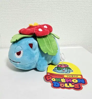 포켓몬 센터 봉제 인형 후시기바나 인형
