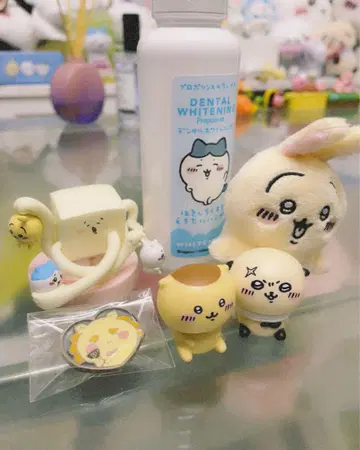 치이카와 세트