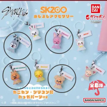 스키즈 SKZOO 메지루시 액세서리 4개 세트