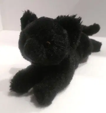 선 레몬 무릎 고양이 봉제 인형 검은 고양이 고양이 SUN LEMON