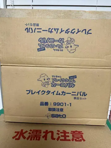 브레이크 타임 카니발 Vol.47 9901-1 사토짱