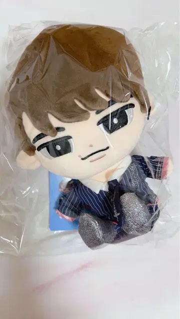 스노 치루 BIG 봉제 인형 와타나베 쇼타 군